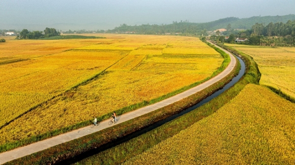 Hình ảnh cho bài viết Phú Yên phấn đấu hoàn thành các mục tiêu về xây dựng nông thôn mới 